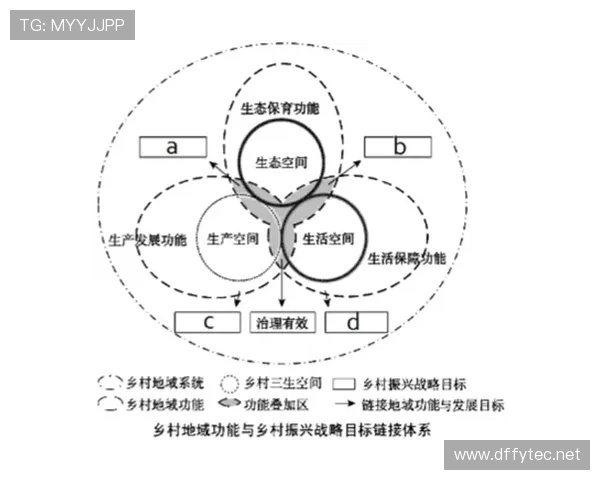 维尔茨在勒沃库森进攻体系中的核心作用解析