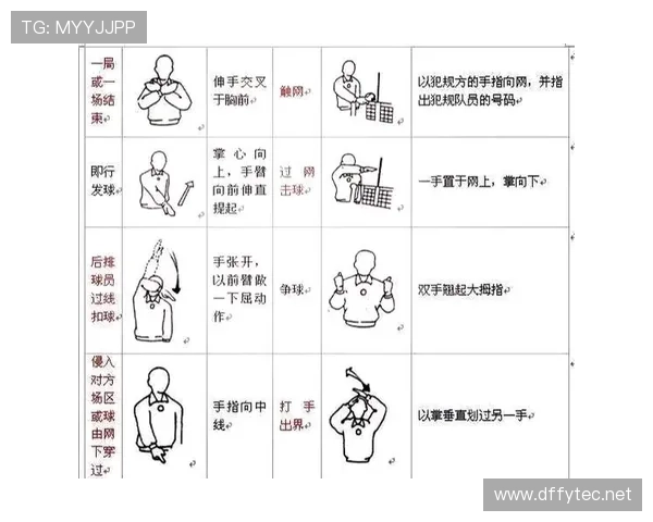 裁判手势在不同犯规判罚中的标准含义解析与误区提醒