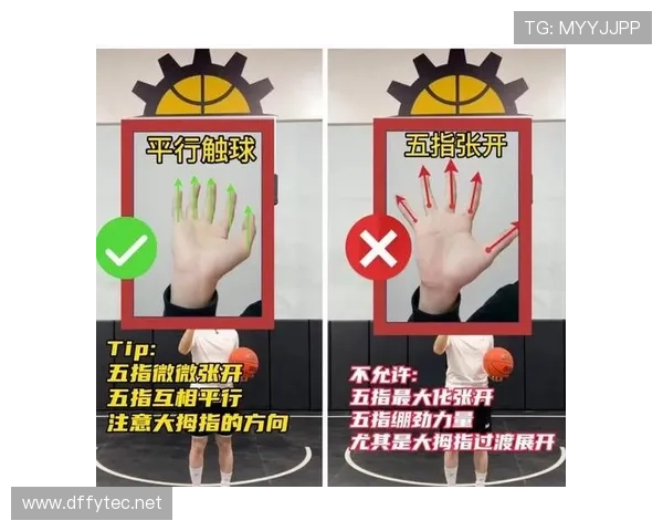 解读球出界判定规则,明确最后触球者与边界线关系及判罚依据 解读球出界判定规则,明确最后触球者与边界线关系及判罚依据